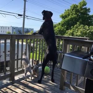 Meet your Posher, Lori